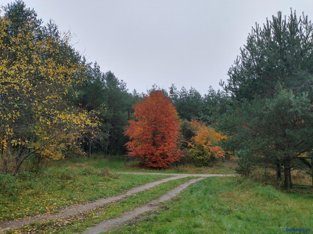 Agroturystyka Lesna Babka