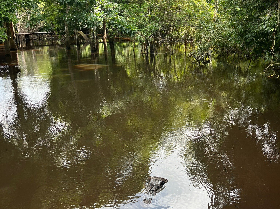 Yuruma Journeys-Rurrenabaque必去景点
