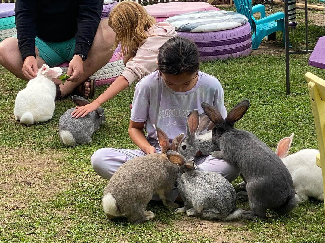 Mad Hatter Bake & Brew