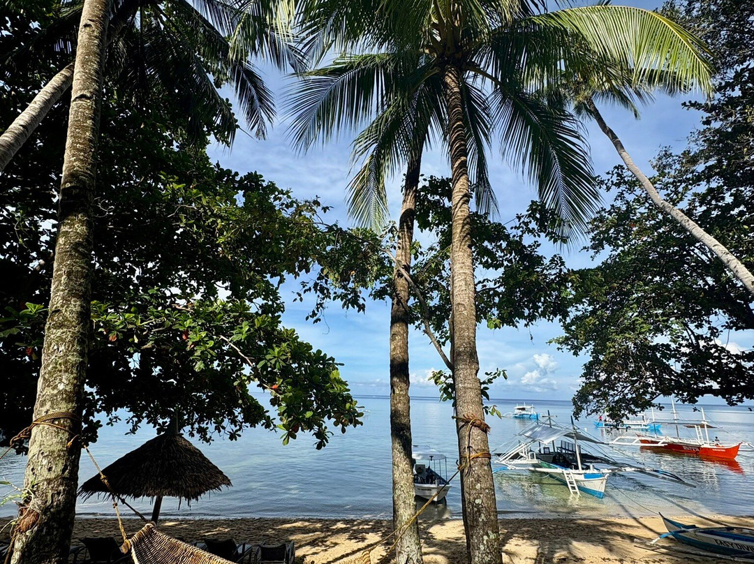 Easy Diving and Beach Resort主图