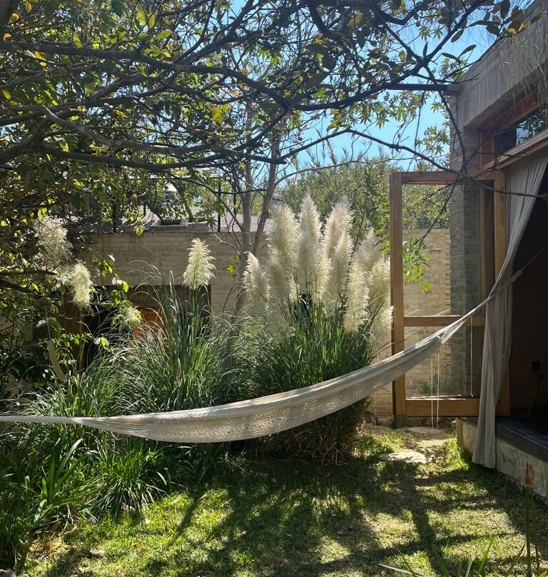 Chocolate De Agua-San Agustin Etla必去景点