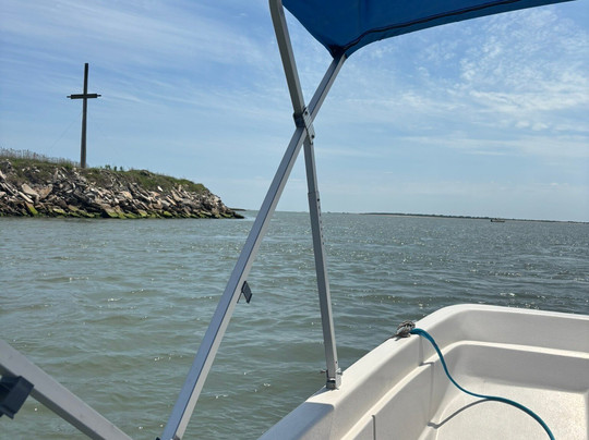 Assateague Explorer Wildlife Cruises-钦科蒂格岛必去景点