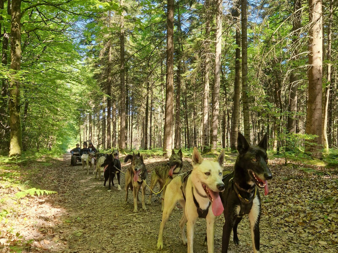 Sled Dog Ride-Saint-Symphorien必去景点