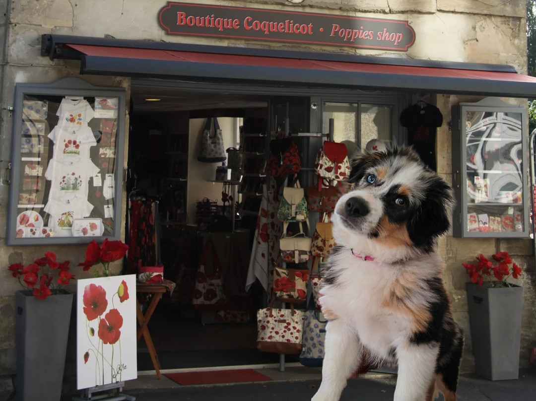 Boutique Coquelicot-巴约必去景点