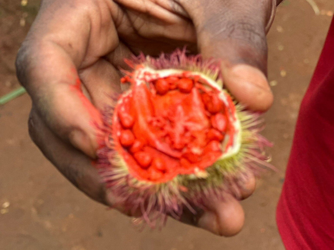Jambo Spice Farm-桑给巴尔市必去景点