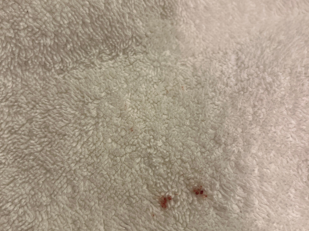 希尔顿逸林弗雷斯诺会议中心酒店主图