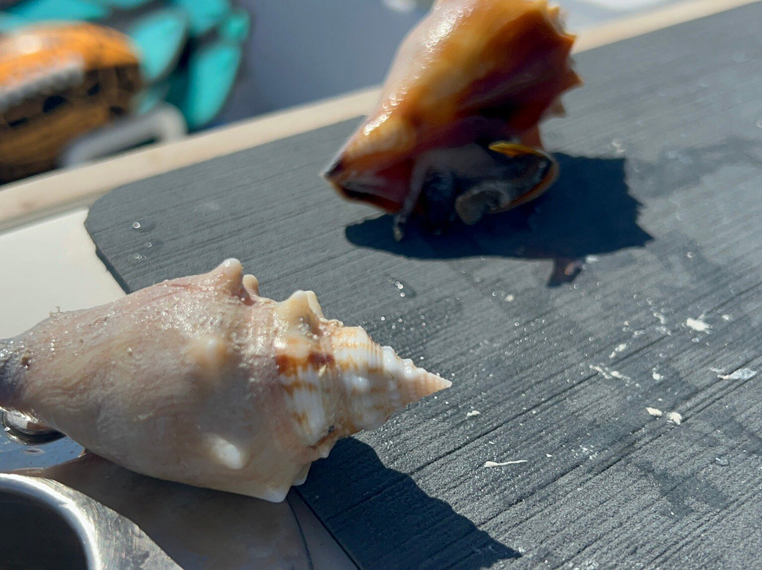 Xotic Island Charters-Cudjoe Key必去景点