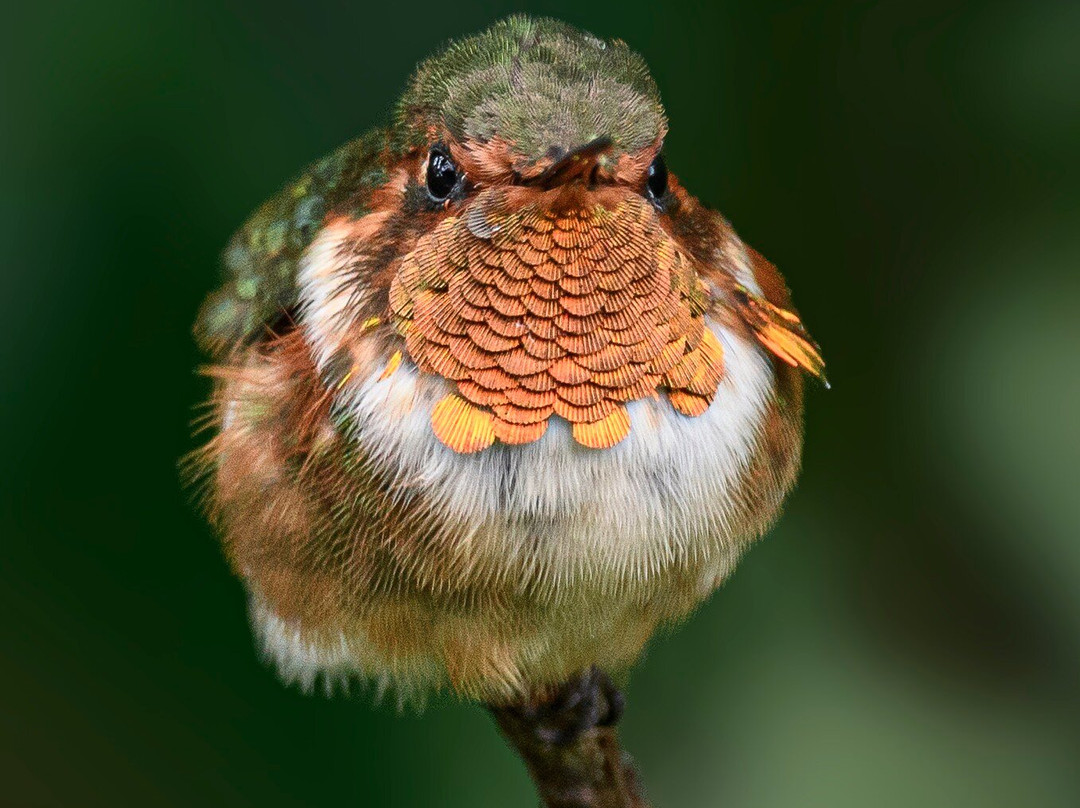 Geo Natura Tours-圣拉蒙必去景点