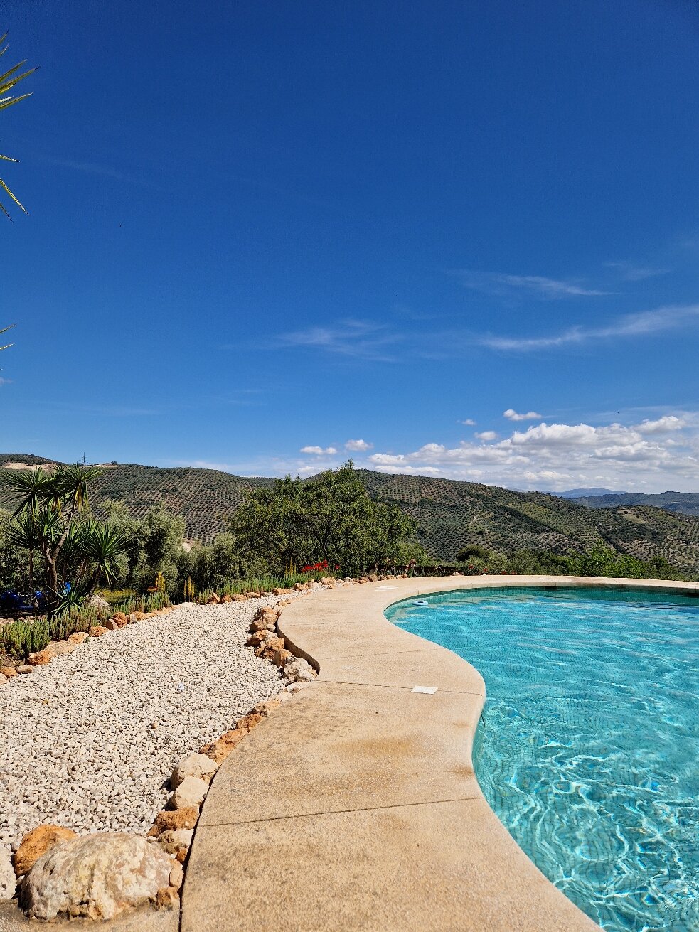 Hilltop Hideaway (Brazos Abiertos Casa Rural)-官方