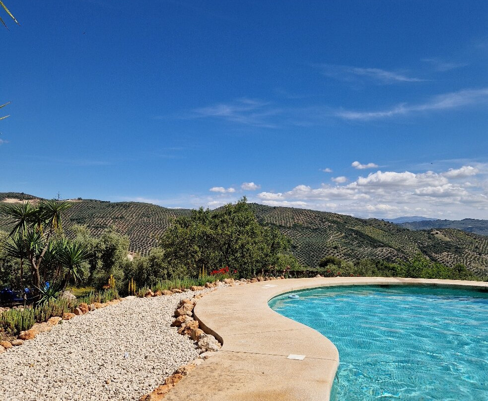 Hilltop Hideaway (Brazos Abiertos Casa Rural)主图