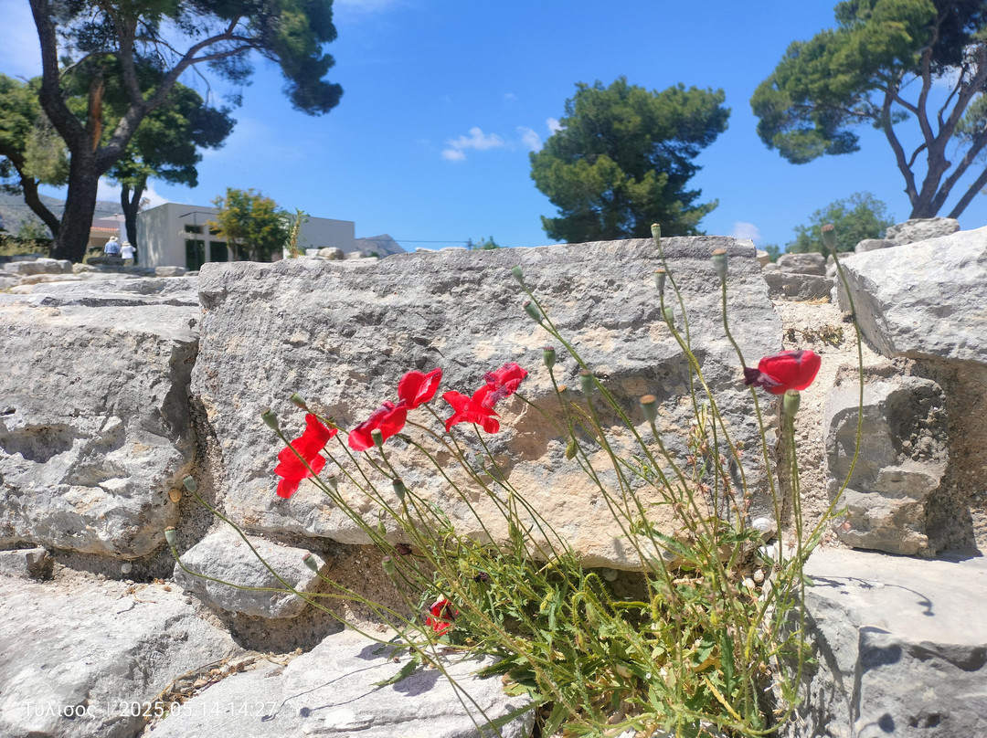 Tylissos Archaeological site-Tylissos必去景点