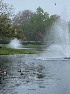 Memorial Park景点图片