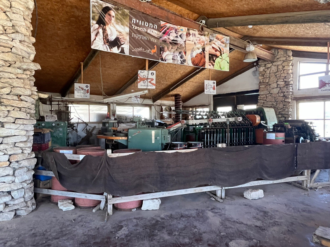 The Alpaca Farm-米茨佩拉蒙必去景点