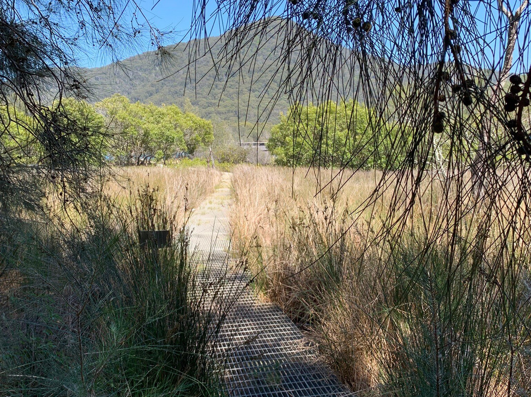 Treehouse Retreat at Diamond Waters主图