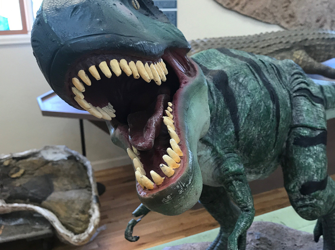 Dinosaur Ridge-Morrison必去景点