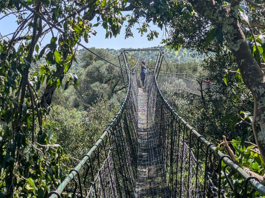 Regency Mount Kenya Hotel主图