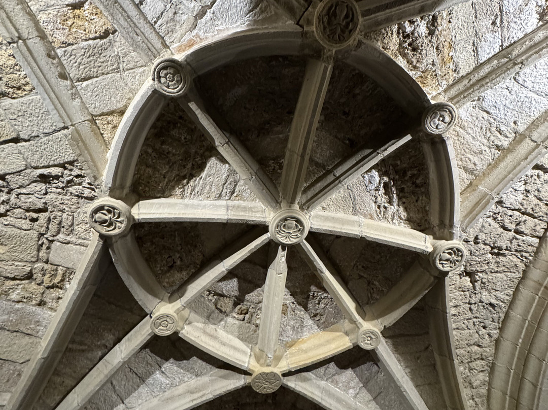 Iglesia de Santa Maria de Los Angeles景点图片