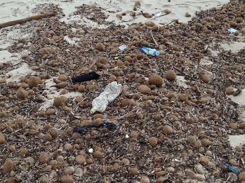 Port El Kantaoui Beach