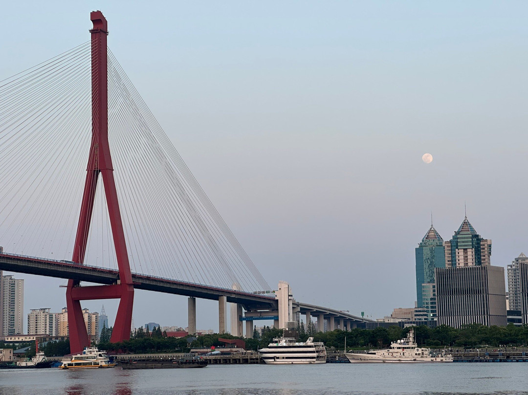 杨浦大桥-上海市必去景点
