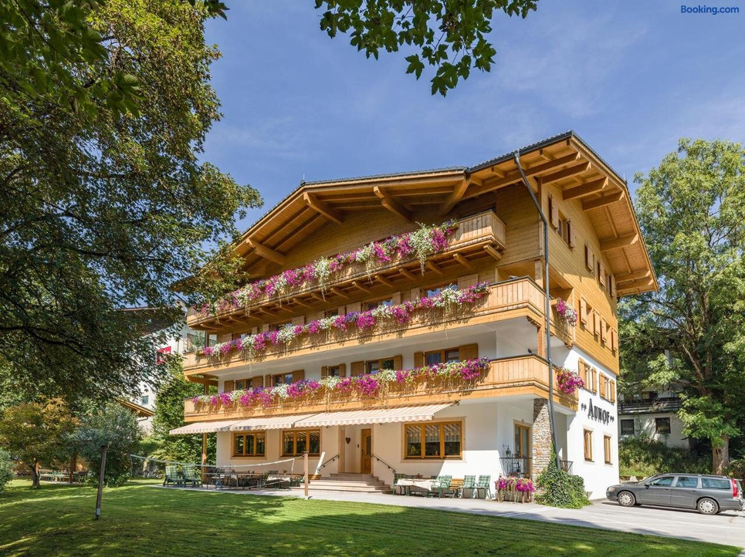 Appartement Pension Auhof主图