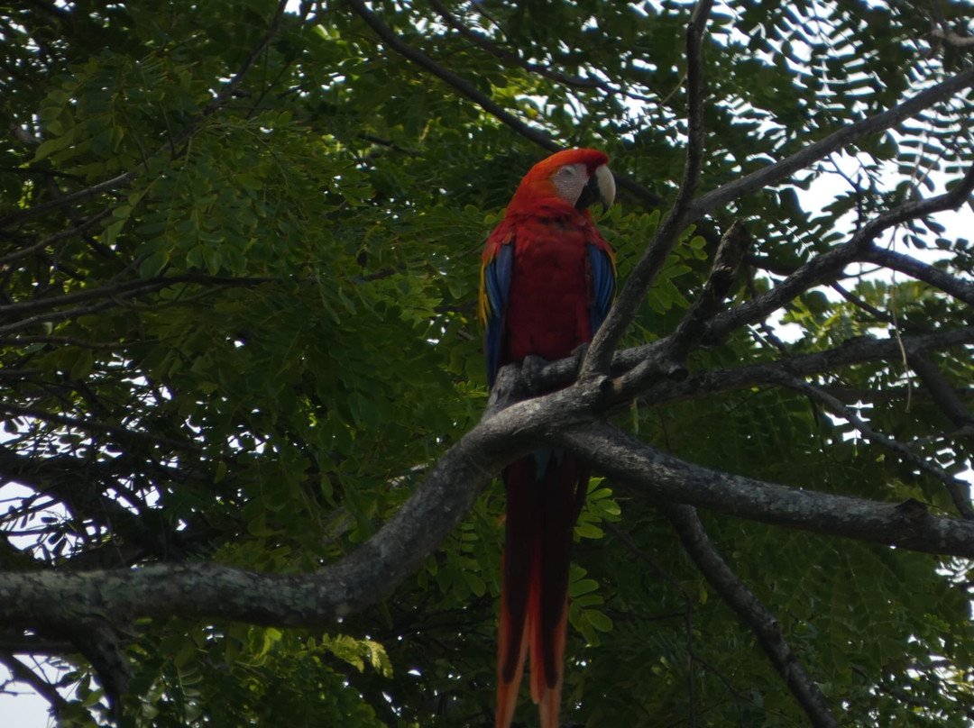 Hotel Fuego del Sol Beachfront Hotel主图