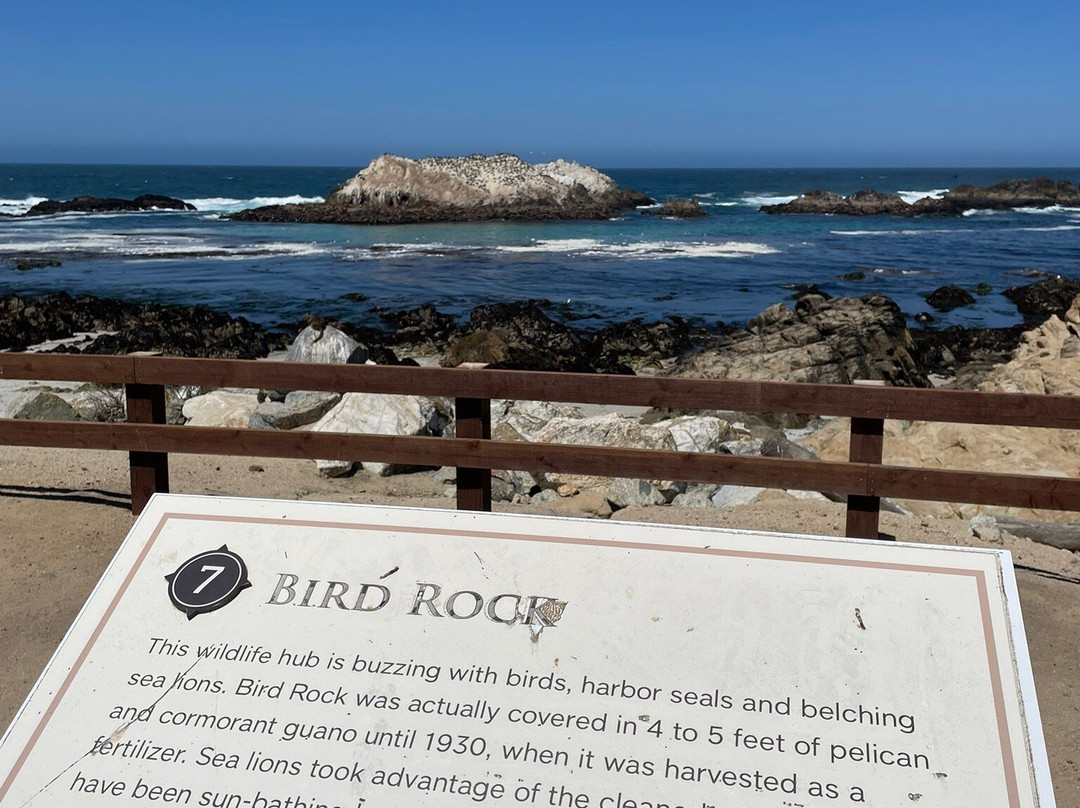 Bird Rock Vista Point-圆石滩必去景点