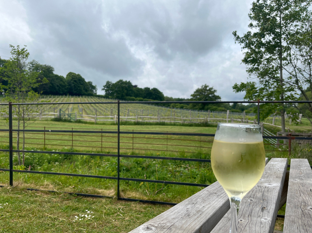 Kingscote Estate and Vineyard景点图片