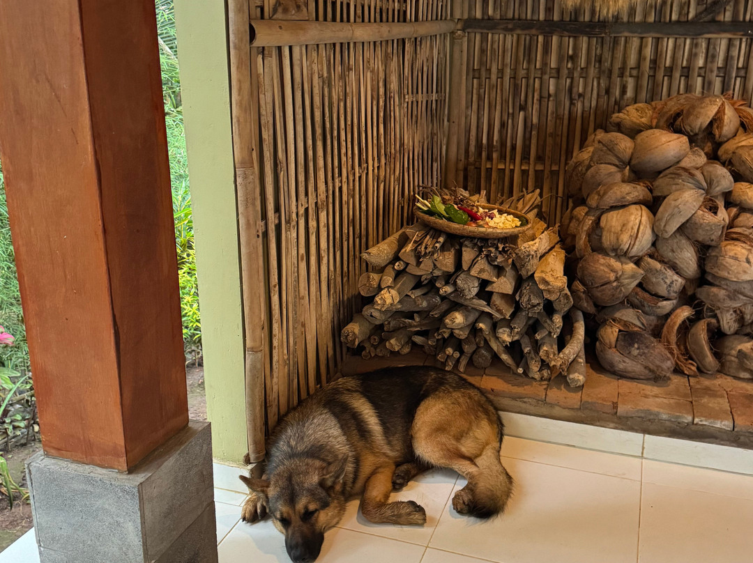 Balikaru-Mengesta必去景点