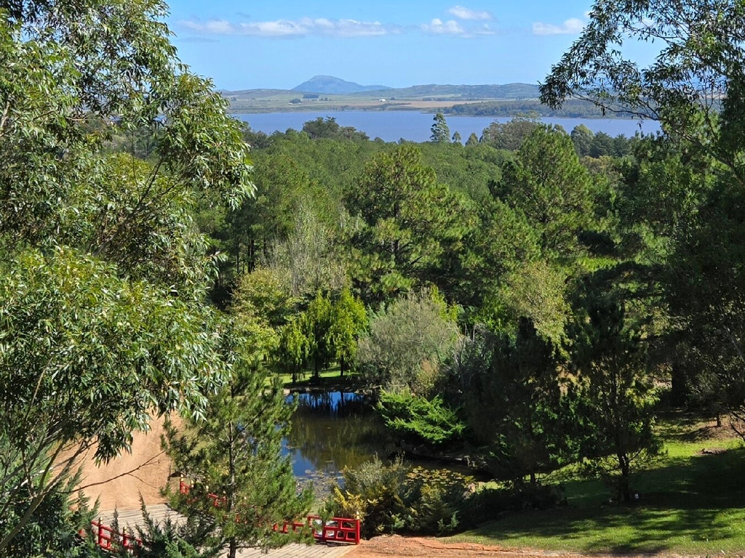 Jardín Japones Punta