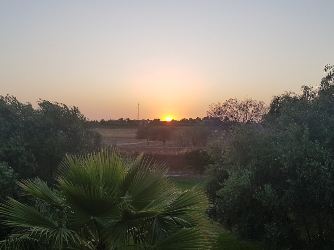 Domaine Du Douar主图