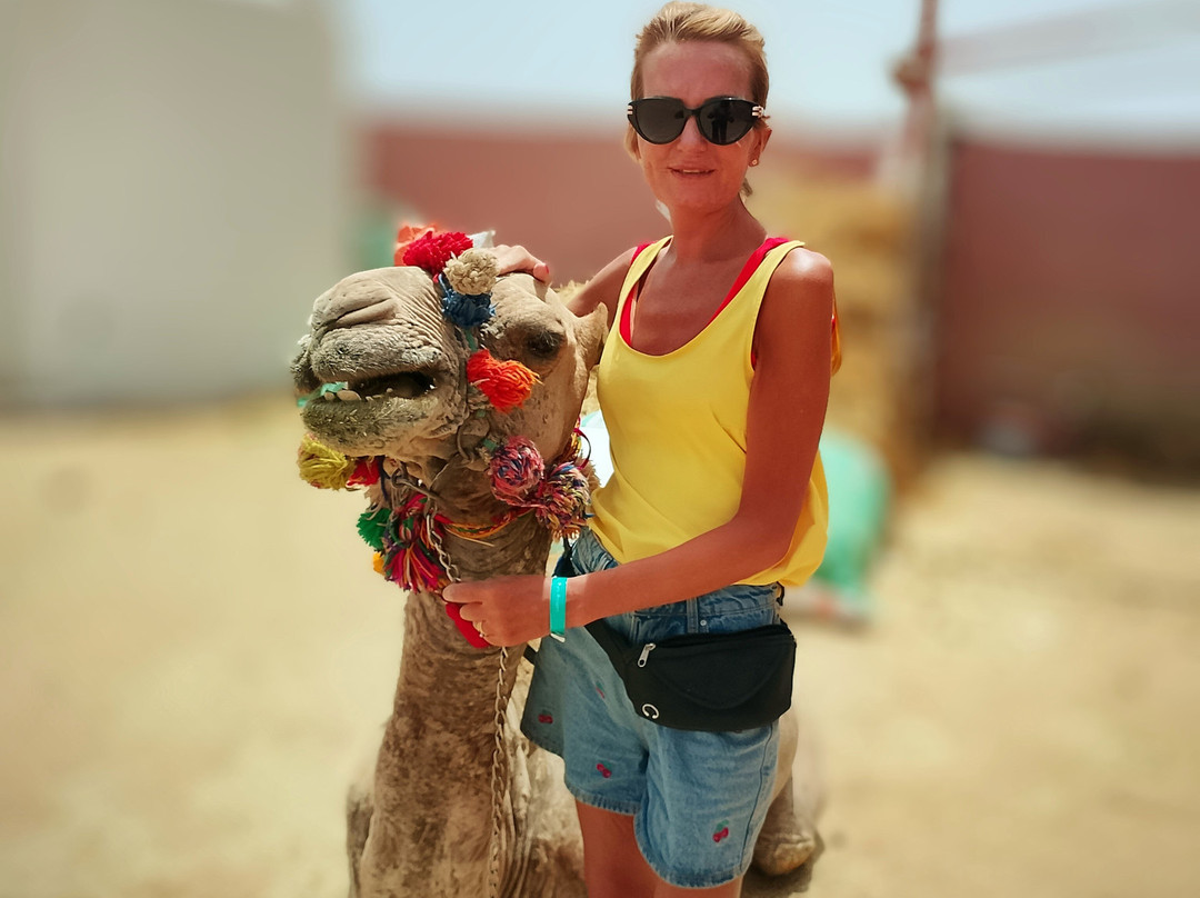 Horse Safari Hurghada-赫尔格达必去景点