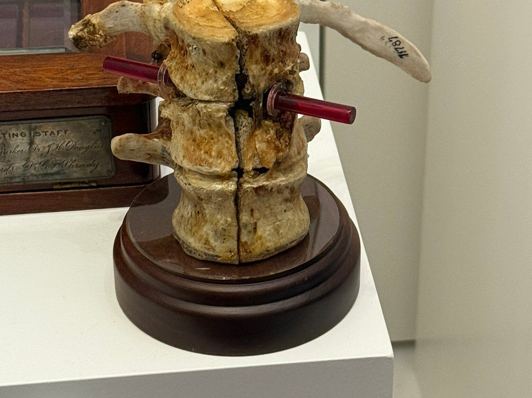 医学博物馆-银泉必去景点