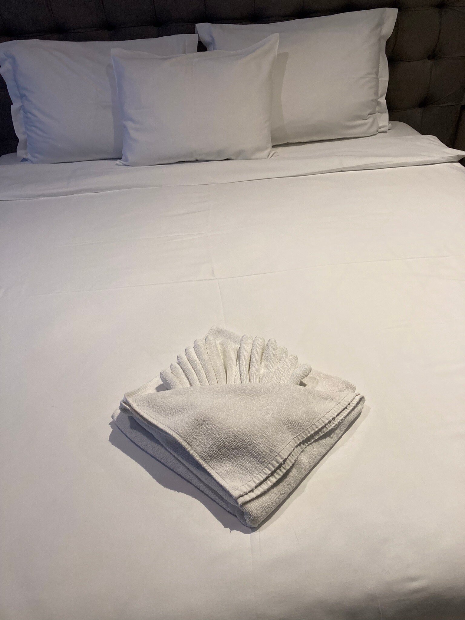 Hotel Mirror-官方