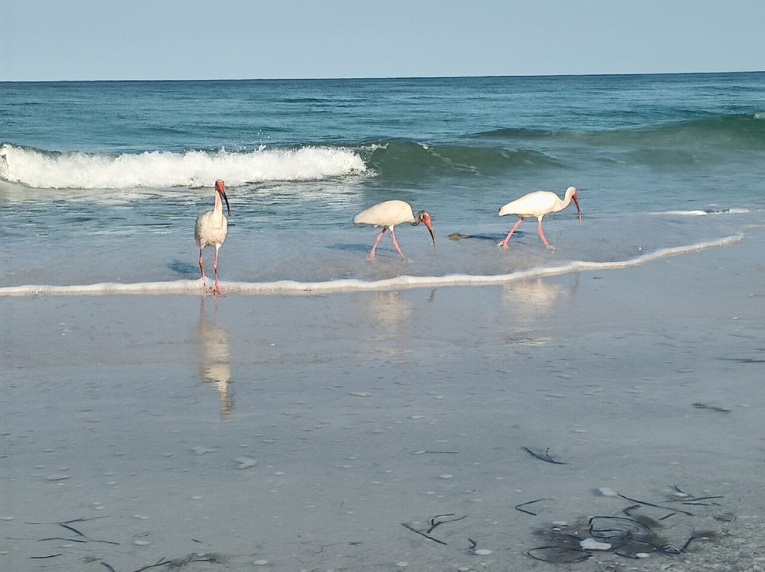 Bradenton Beach景点图片