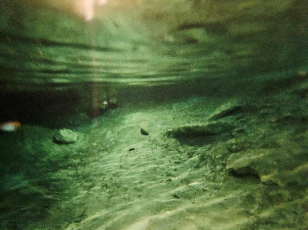 Parque De Cenotes Yax-Muul-图伦必去景点