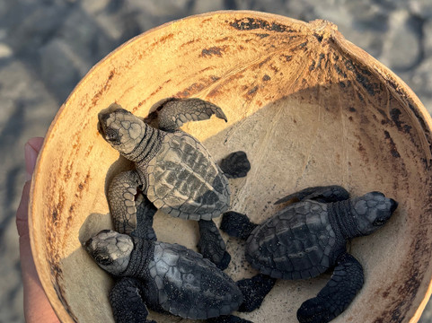 Viva Huatulco Tours-瓦图尔科必去景点