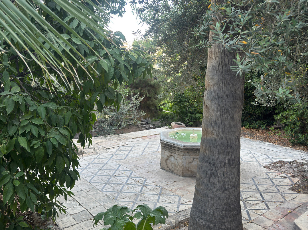 Darat al Funun-安曼必去景点