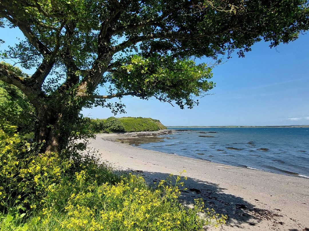 Penrhos Country Park景点图片