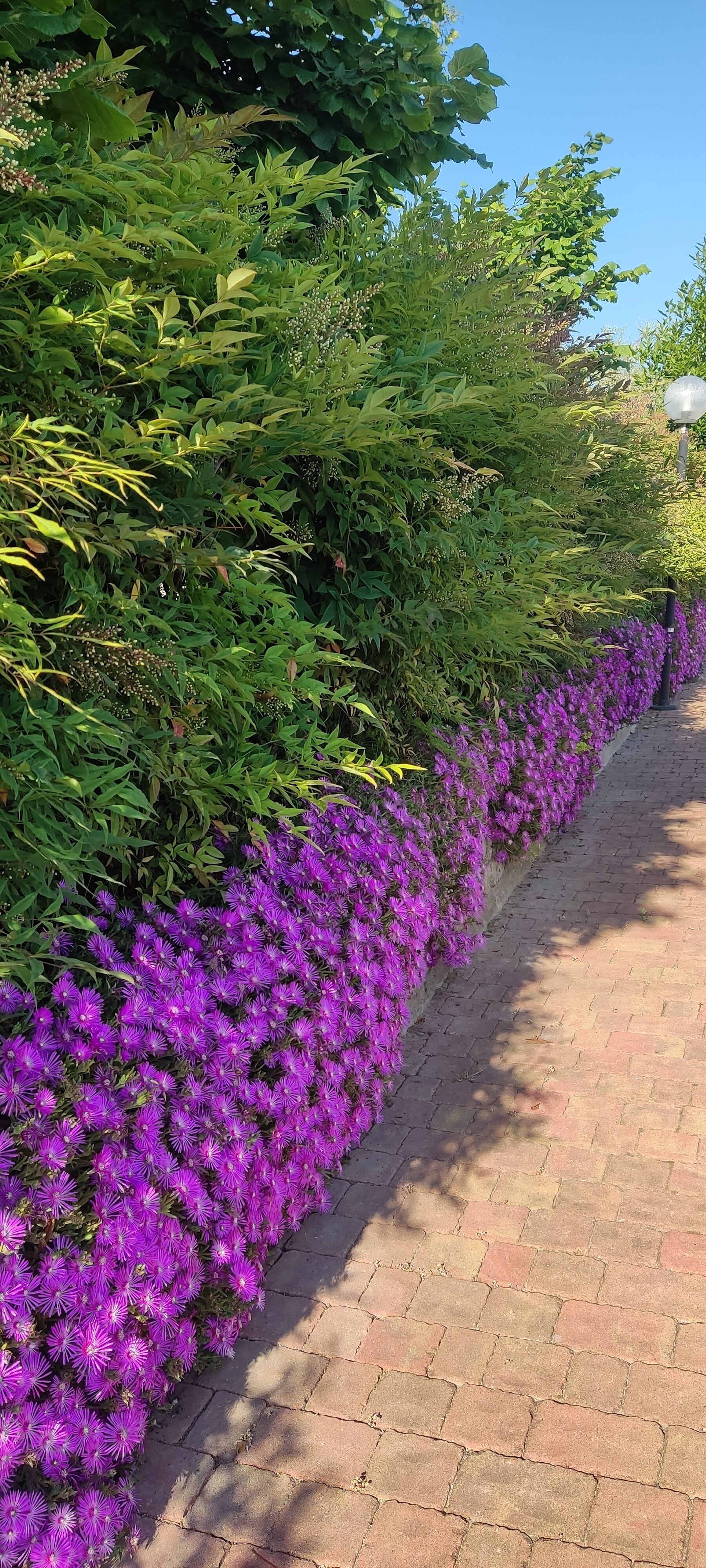 Agriturismo Corte Dei Fiori-官方