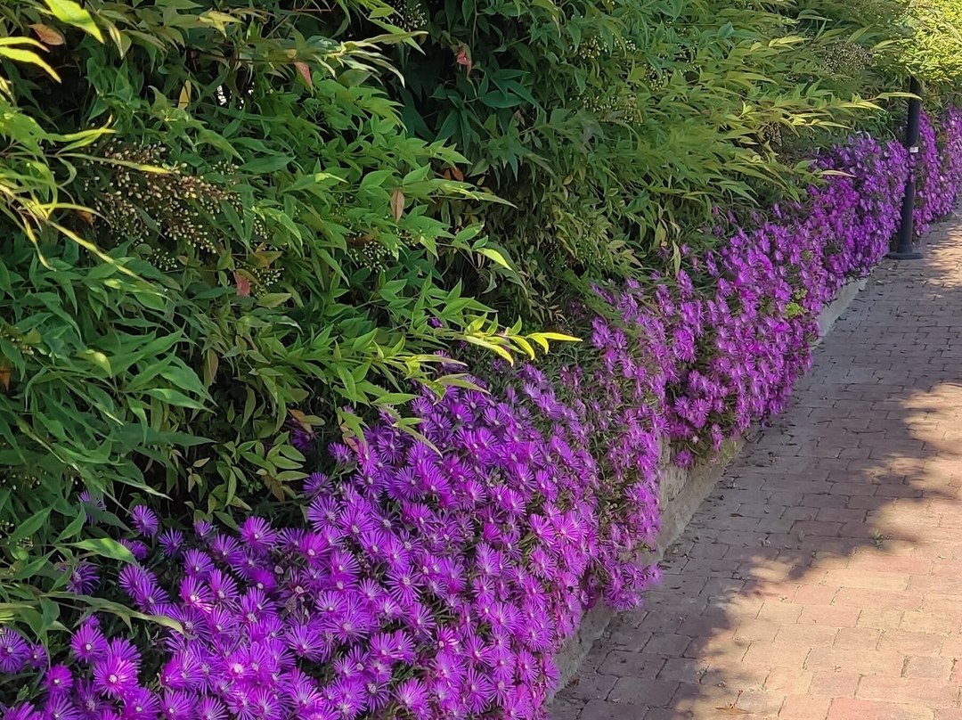 Agriturismo Corte Dei Fiori主图