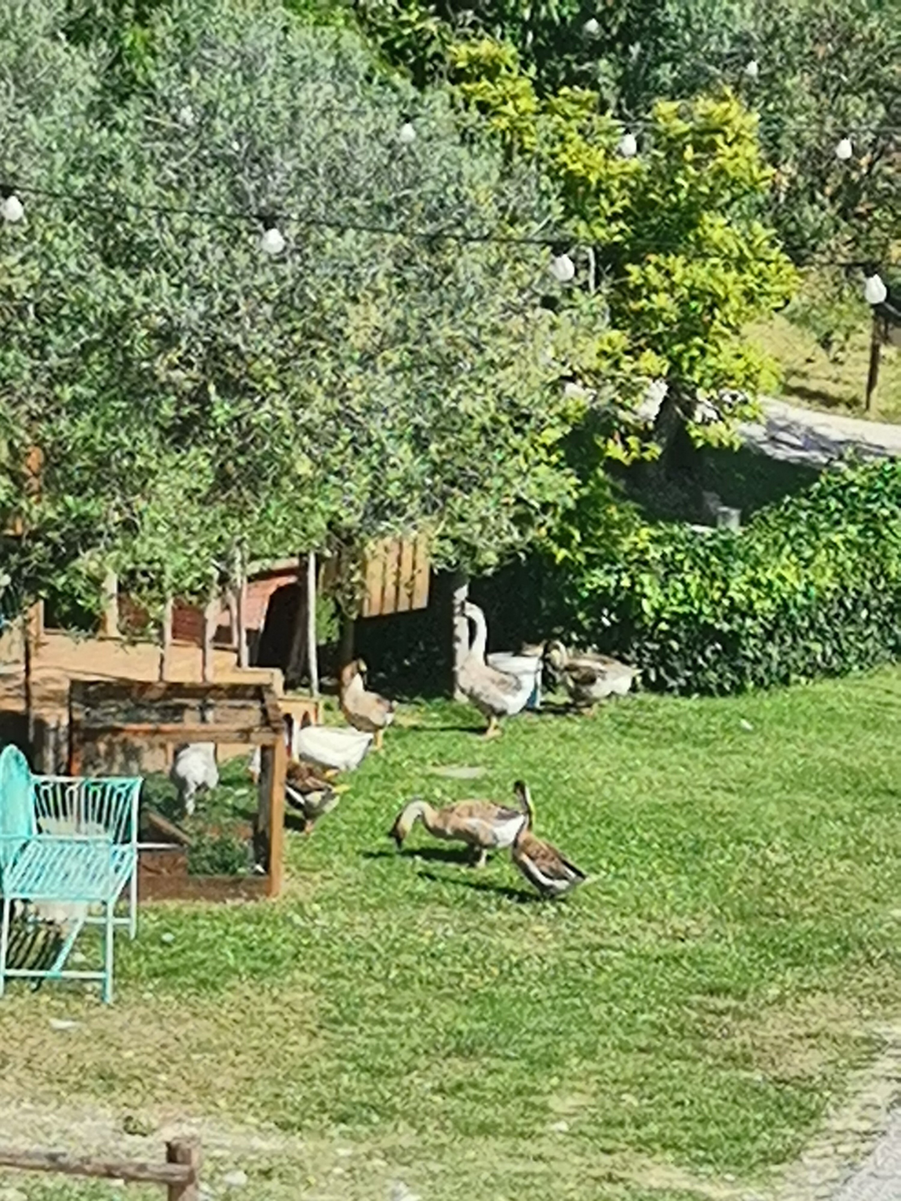 Agriturismo Etico Le Grazie-官方