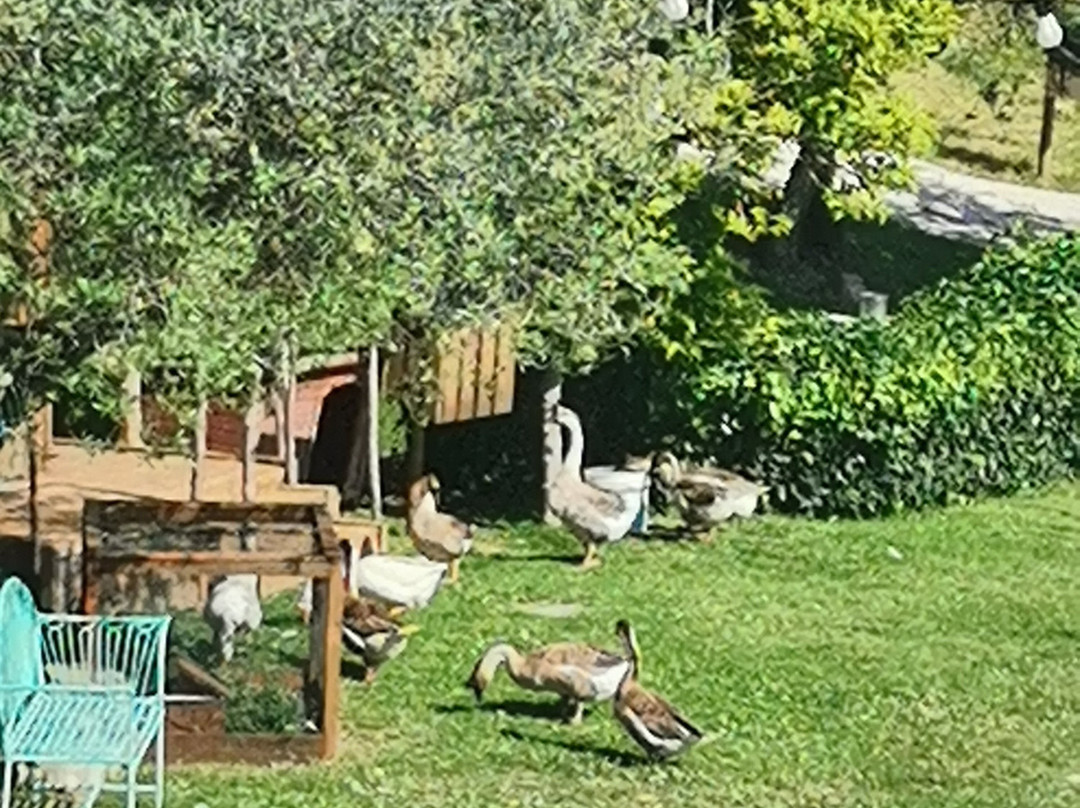 Agriturismo Etico Le Grazie主图