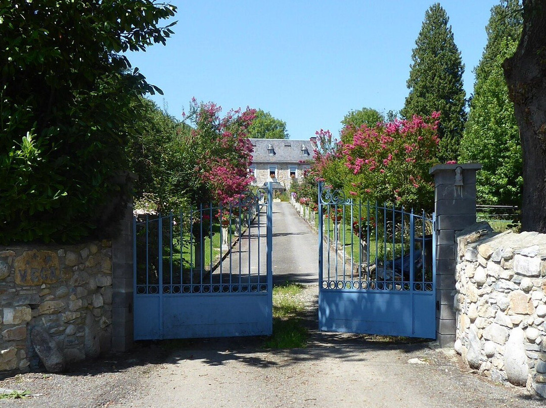 Domaine Vega主图