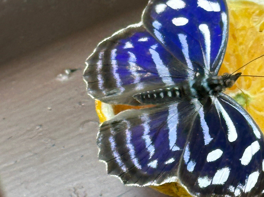 Arenal Oasis Wildlife Refuge-福德圣卡洛斯必去景点