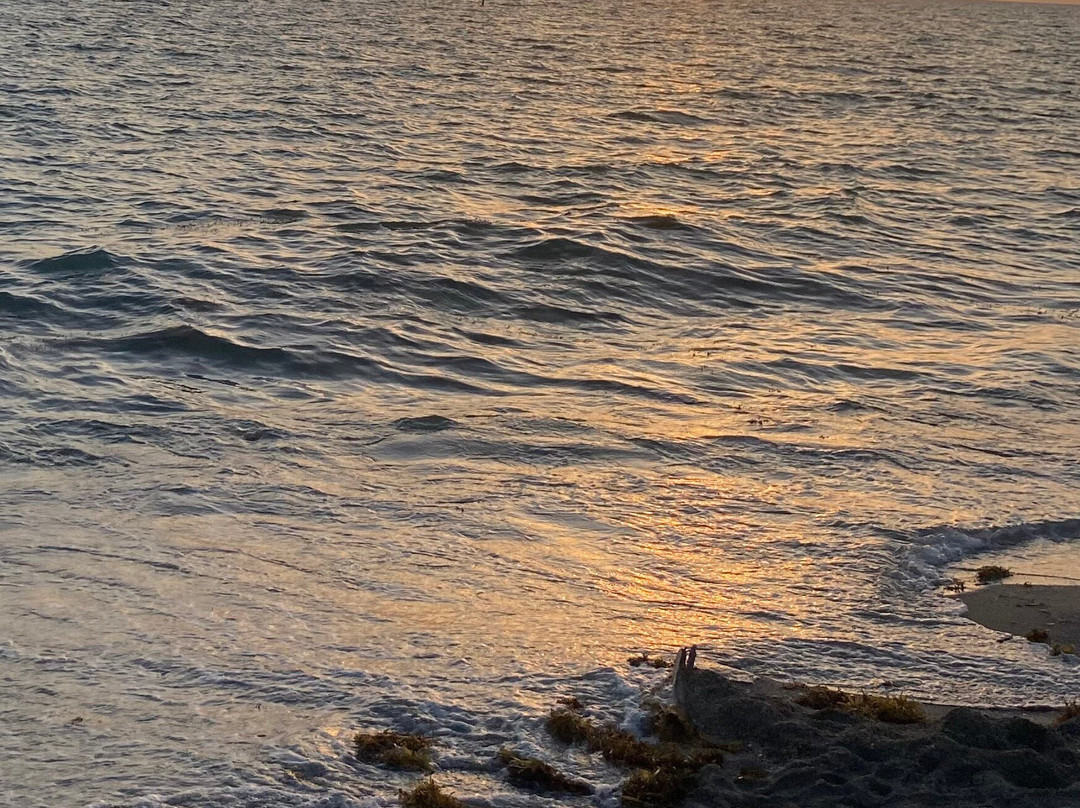 Venice Beach-威尼斯必去景点