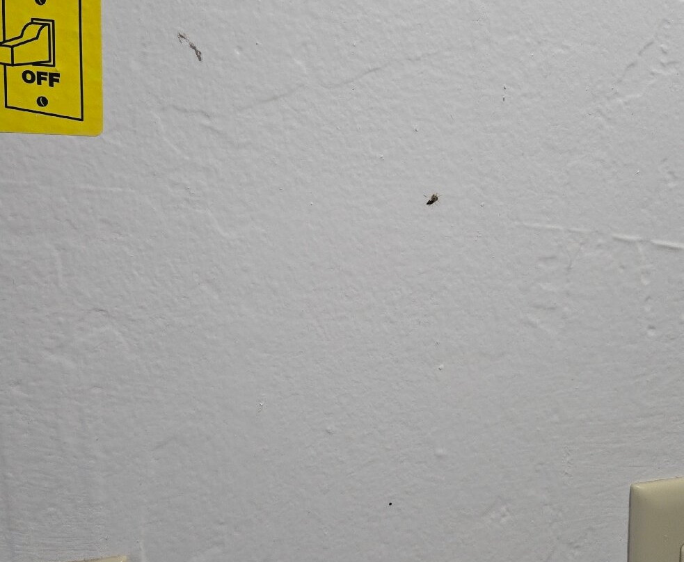 Canyon Motel & RV Park主图