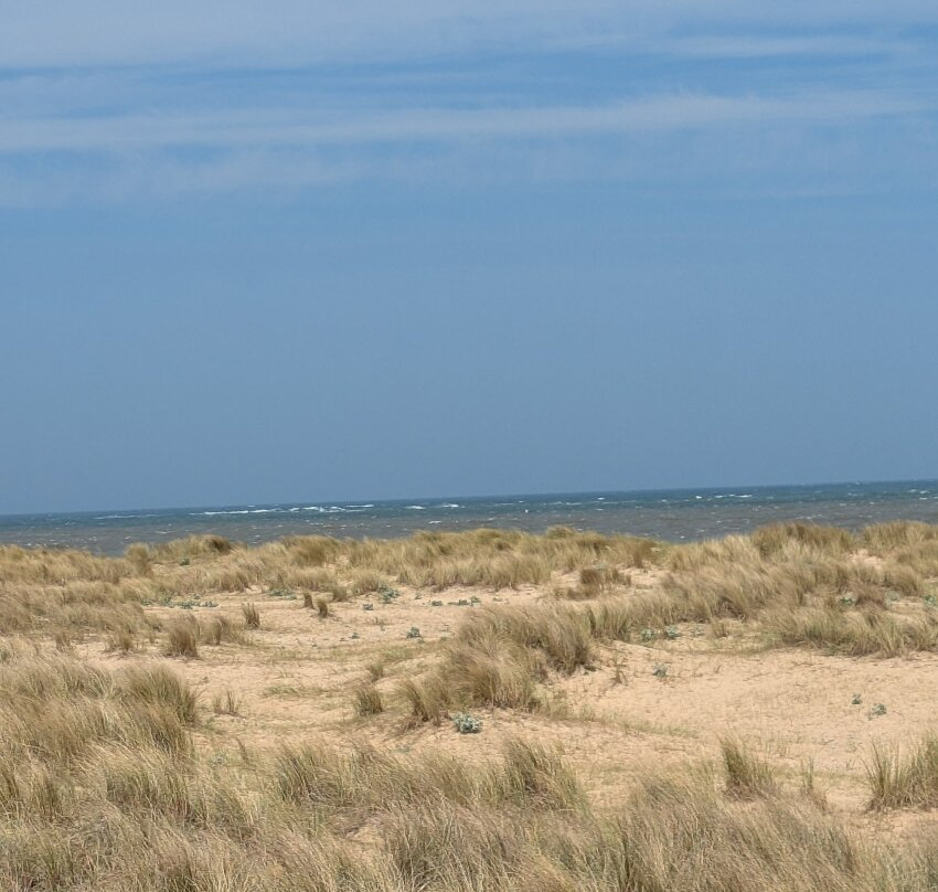Caister-on-Sea Beach景点图片