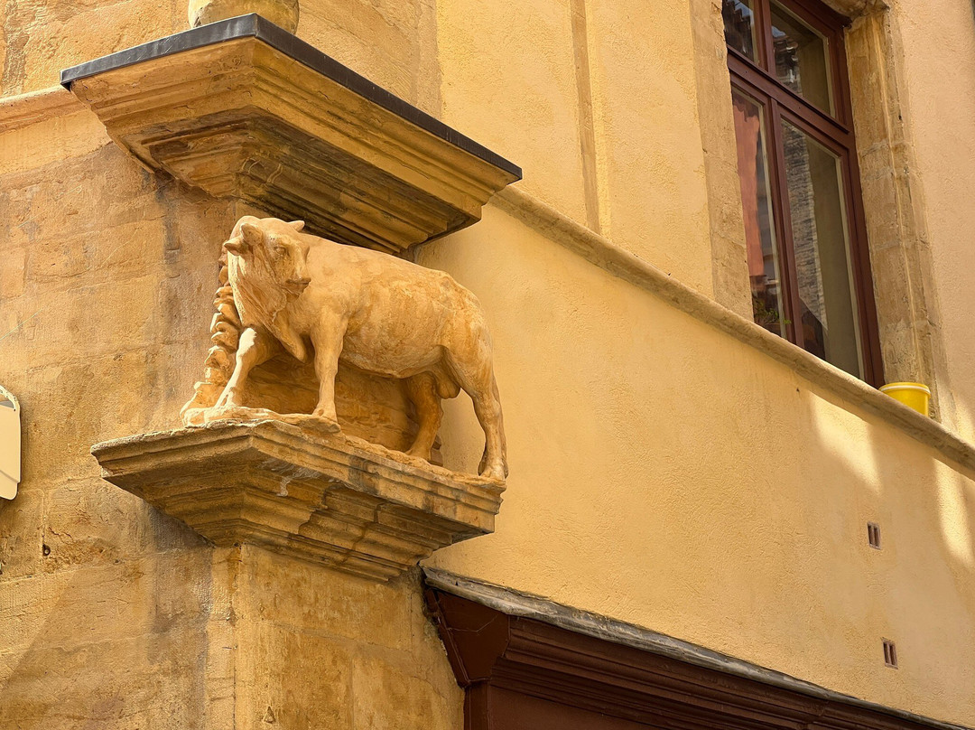 Trésor Aventure-里昂必去景点