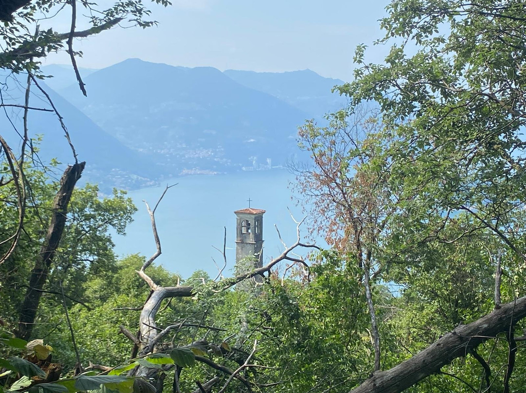 拉泰莎农庄酒店主图