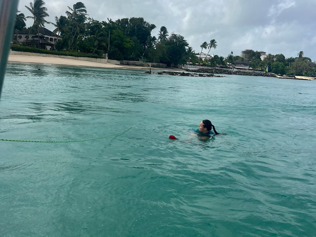 Radical Watersports-Speightstown必去景点